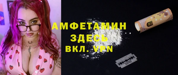 дмт Арсеньев