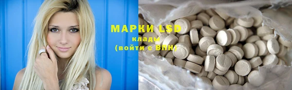 индика Балабаново