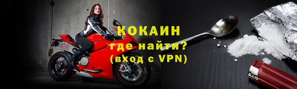 прущие грибы Горно-Алтайск