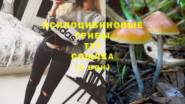 скорость Армянск