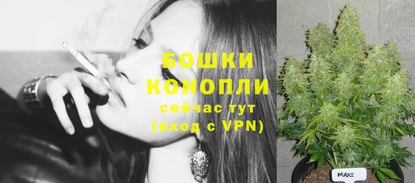 индика Балабаново