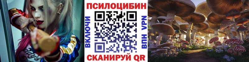 Галлюциногенные грибы MAGIC MUSHROOMS  Ленинск 