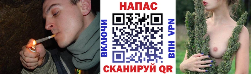 Марихуана OG Kush  купить   Ленинск 